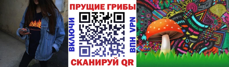Галлюциногенные грибы Psilocybine cubensis  где продают   Сальск 