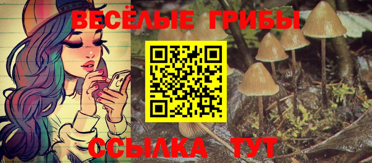 Галлюциногенные грибы Psilocybine cubensis  Галлюциногенные грибы Psilocybine cubensis  Вход с VPN  где купить наркоту  Сальск 