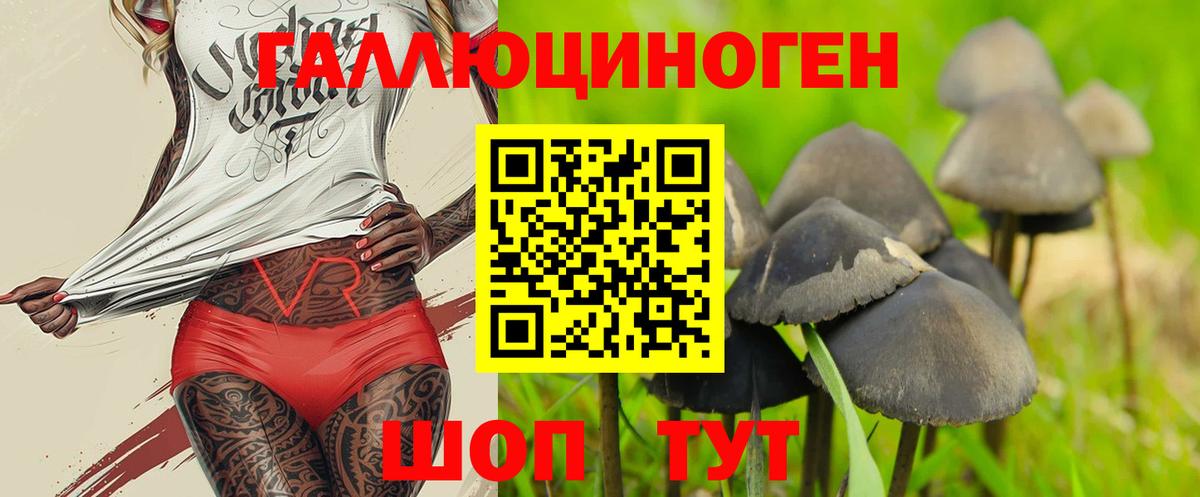 Галлюциногенные грибы мицелий Сальск