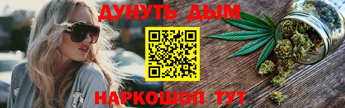 Конопля сатива Сальск